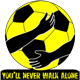 BVB You'll never walk alone
