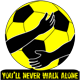 BVB You'll never walk alone